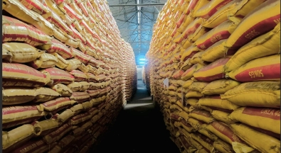 Fertilizers